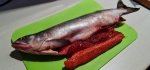 Горбуша свежий улов, с головой, икра 90% рыб не потрошеная размер 0,8-1,2 кг  ЦЕНА за 1 кг