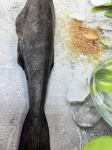 Черная угольгая треска рыба 1-3 кг ЦЕНА за 1 кг  