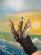 notify_thumb