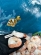 notify_thumb