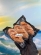 notify_thumb