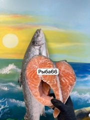 Семга распиленная на стейки + голова хвост, размер рыб  5-6 кг ЦЕНА за 1 кг